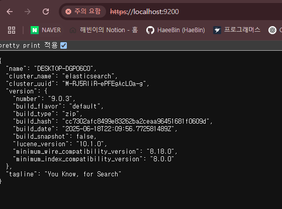 Elasticsearch 브라우저 테스트